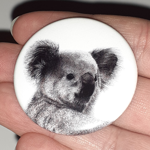 Jessy Megan badge portrait animal Koala main