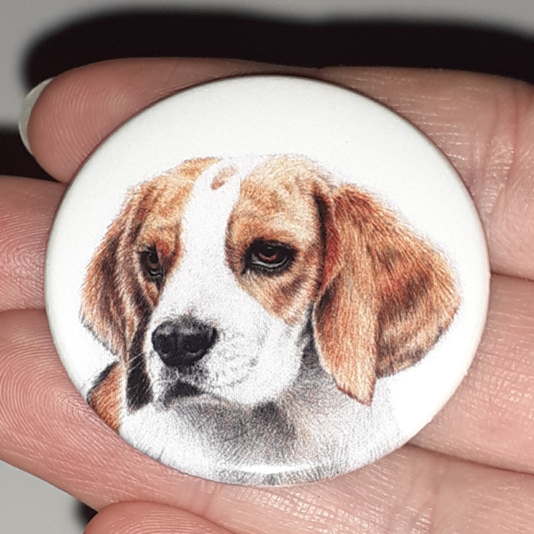 Jessy Megan badge portrait animal Beagle main