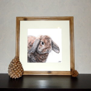Jessy Megan print portrait animal Lapin cadre