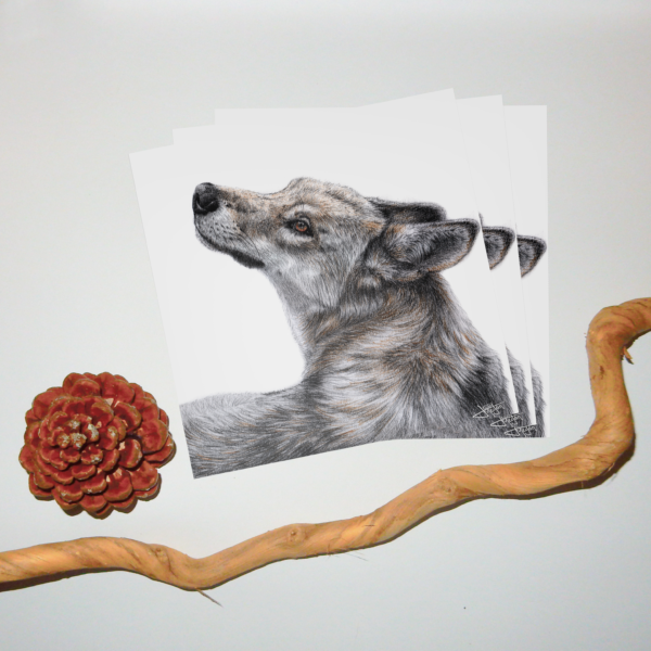 Jessy Megan print portrait animal Loup triple