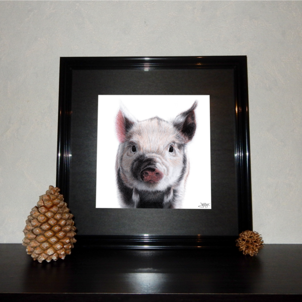 Jessy Megan print portrait animal Cochon cadre