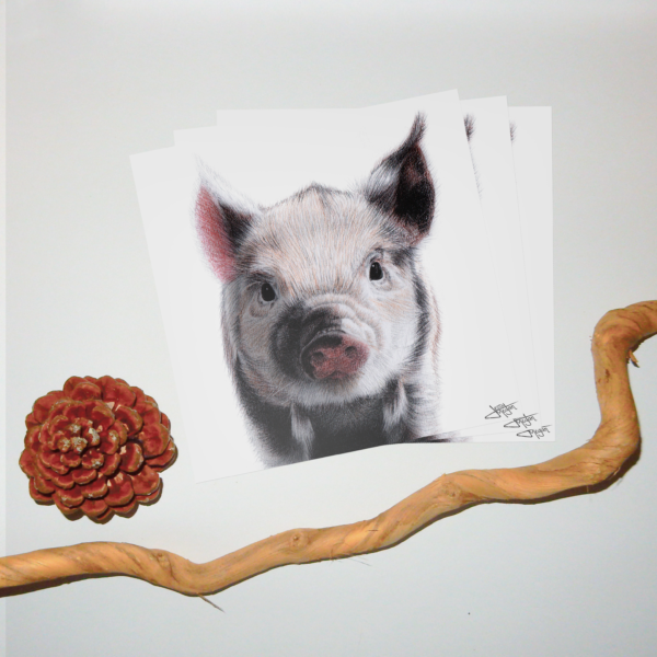 Jessy Megan print portrait animal Cochon triple