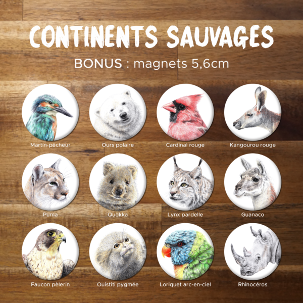 Continents Sauvages - jeu des 7 familles - magnets