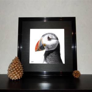 Jessy Megan print portrait animal Macareux cadre