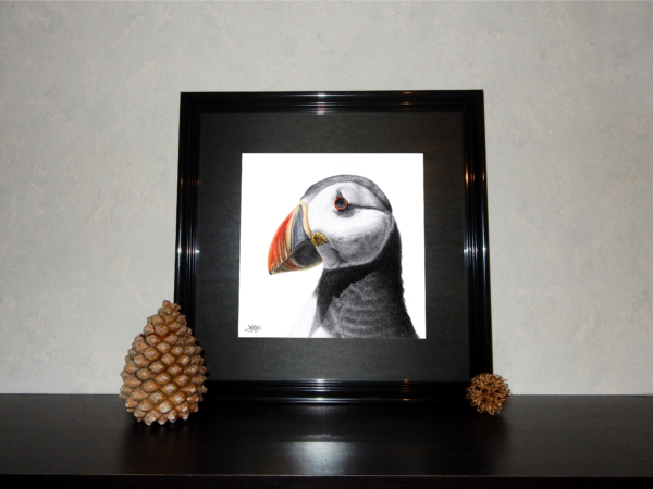Jessy Megan print portrait animal Macareux cadre