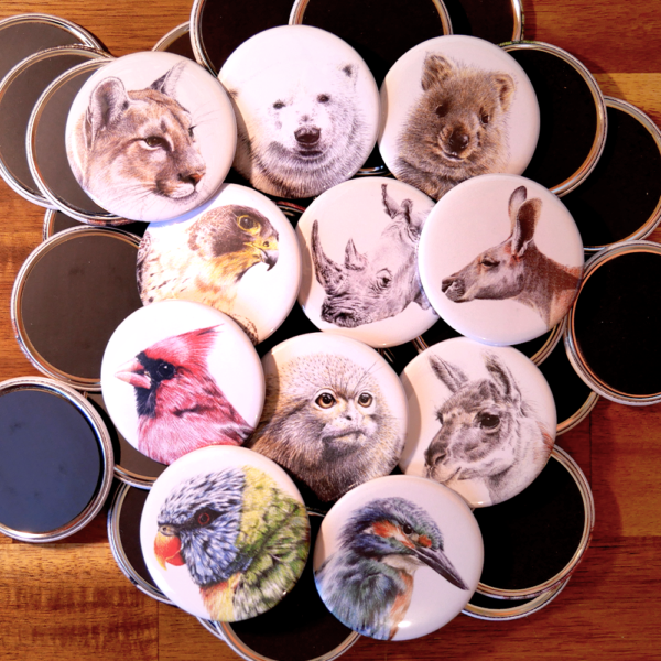 Magnets animaux jeu 7 familles