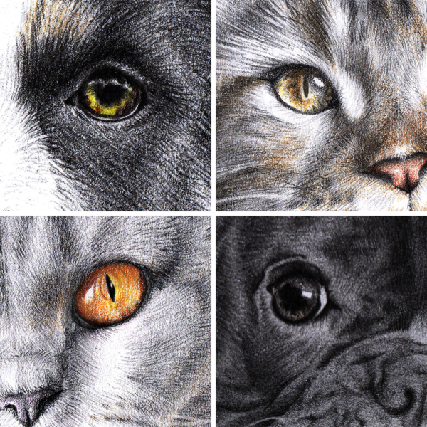Portrait réaliste animal de compagnie prints