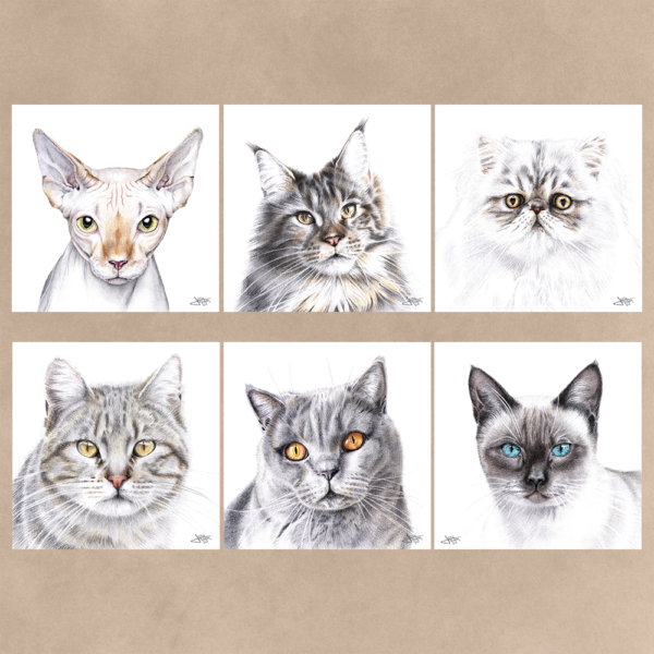 Portrait réaliste animal de compagnie prints