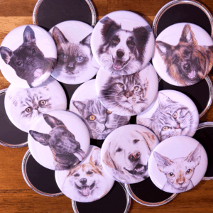 Magnets animaux chiens chats