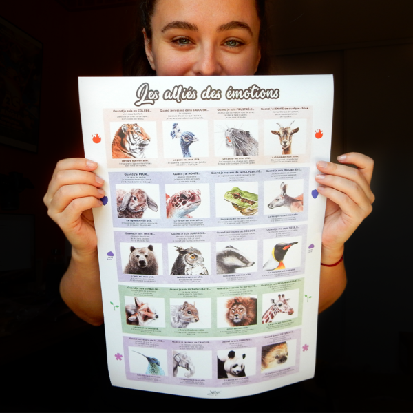 Affiche "Les Alliés des Emotions"