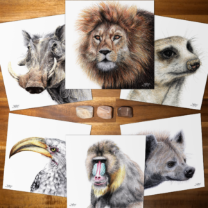 Pack "Roi Lion" prints