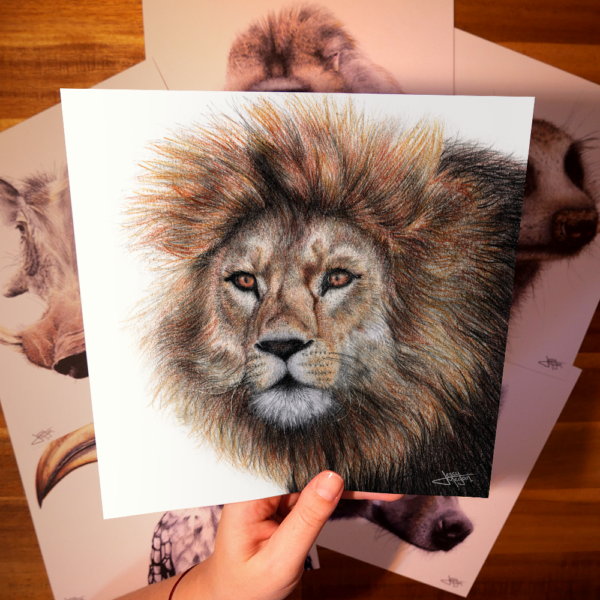 Pack "Roi Lion" print