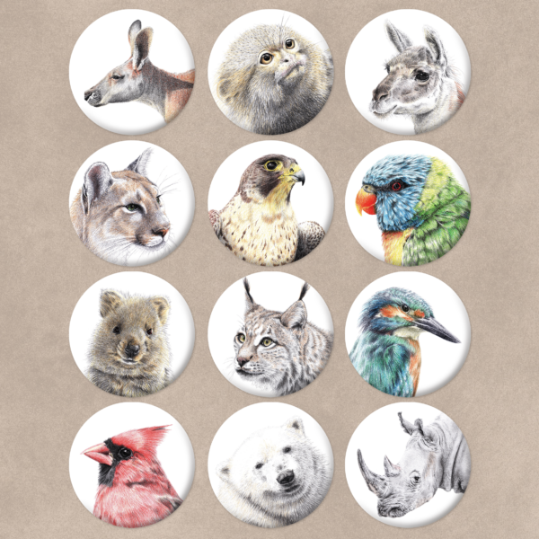 Magnets animaux jeu 7 familles