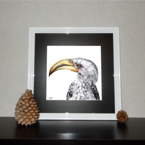 Jessy Megan print portrait animal Calao cadre