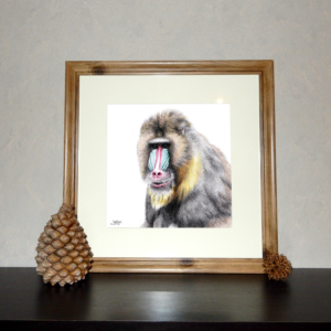 Jessy Megan print portrait animal Mandrill cadre