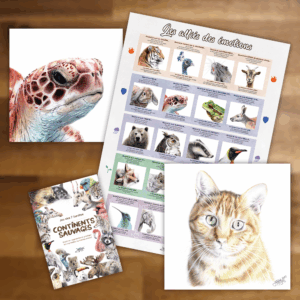 Soutien Conscient fondateur