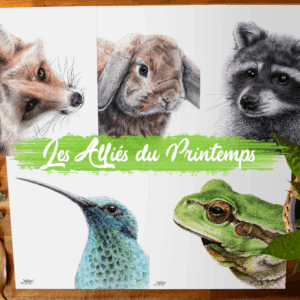 Pack saisonnier "Les Alliés du Printemps"