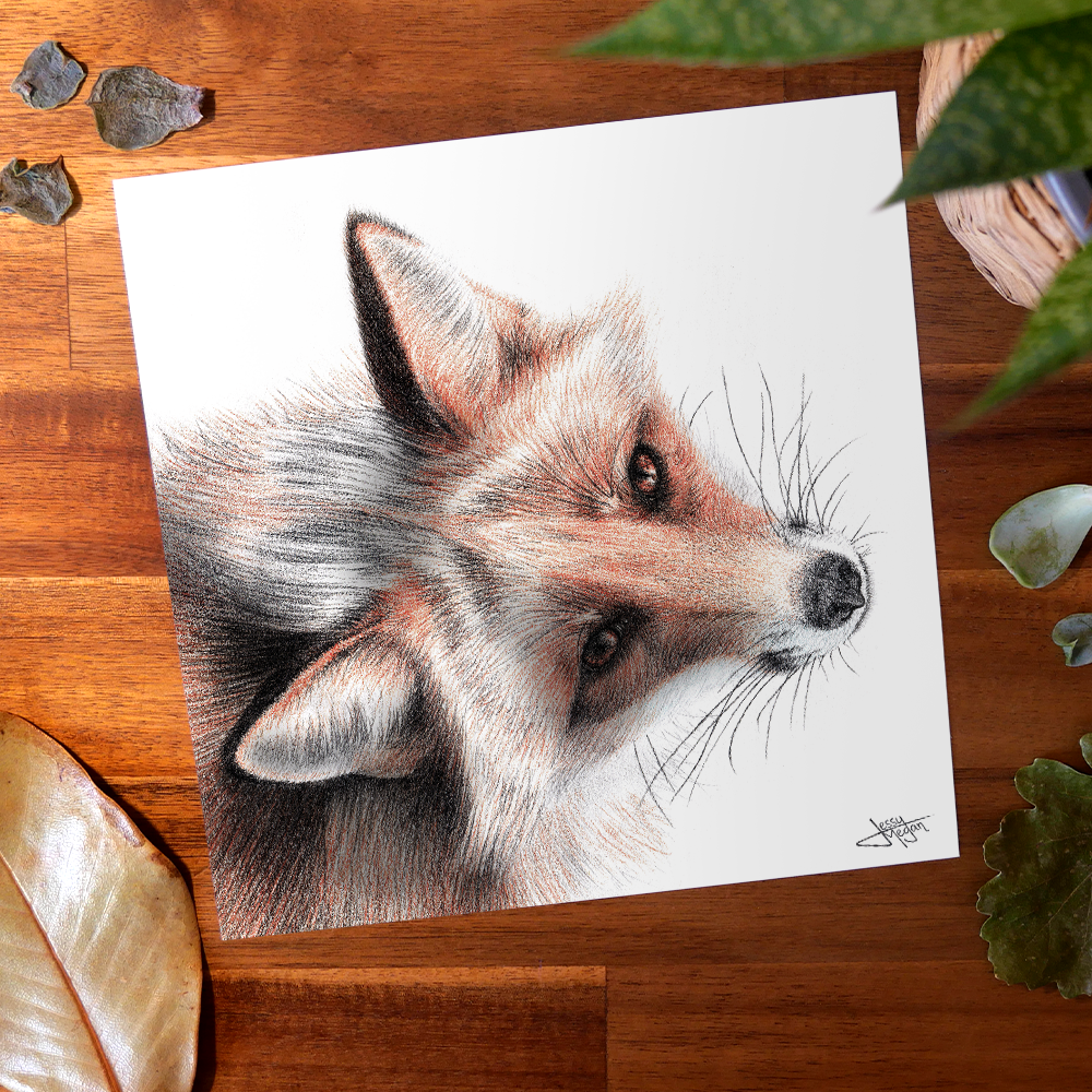 Pack saisonnier "Les Alliés du Printemps" – Image 2