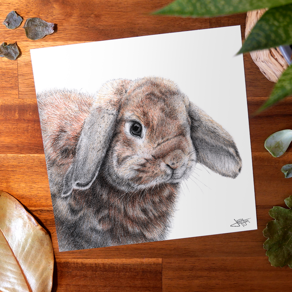 Pack saisonnier "Les Alliés du Printemps" – Image 3