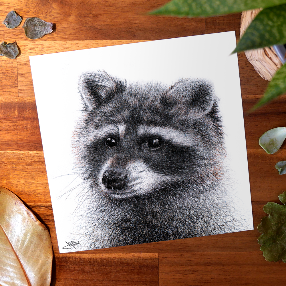 Pack saisonnier "Les Alliés du Printemps" – Image 4