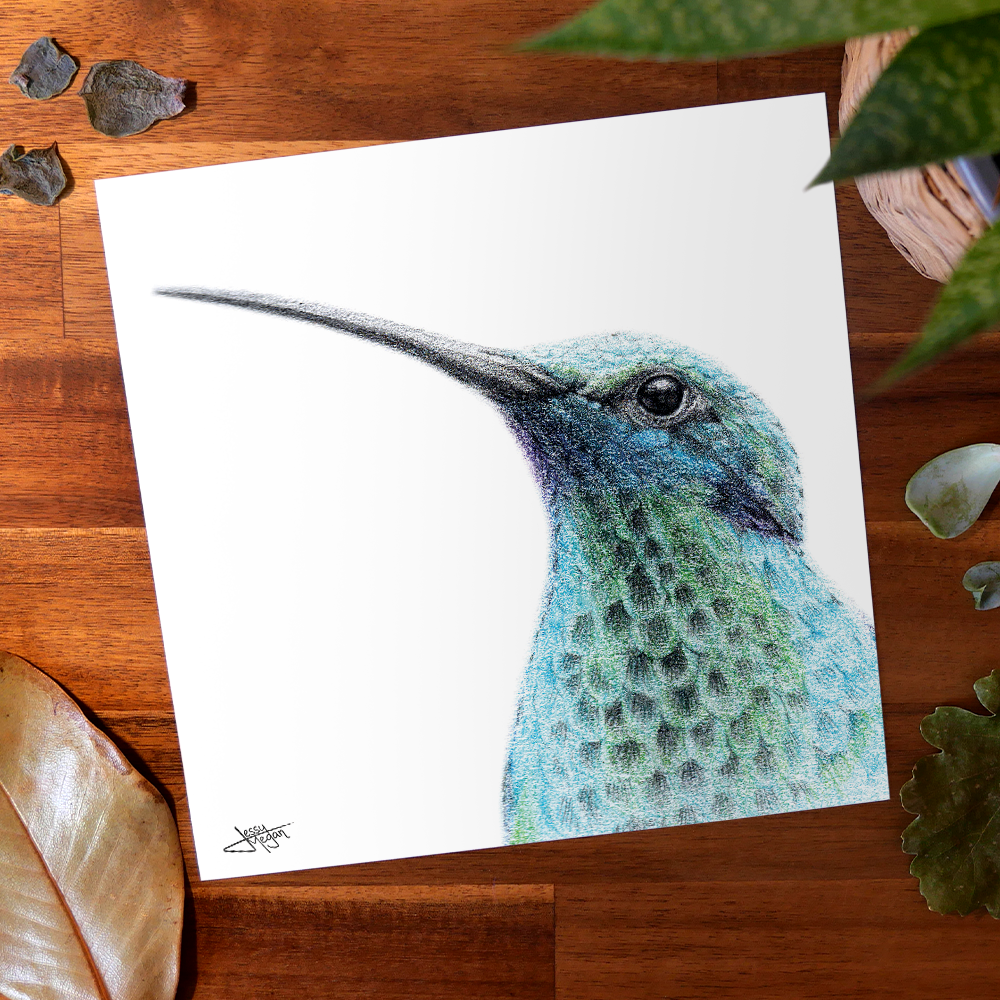 Pack saisonnier "Les Alliés du Printemps" – Image 5